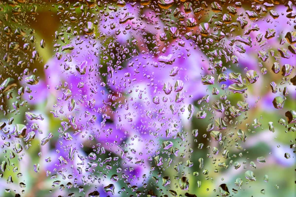 Water drops on glass — Stock Photo, Image