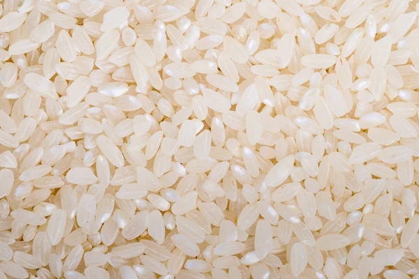 Fondo alimentare di riso rotondo bianco — Foto Stock