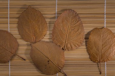 Yaprakların arkaplanı