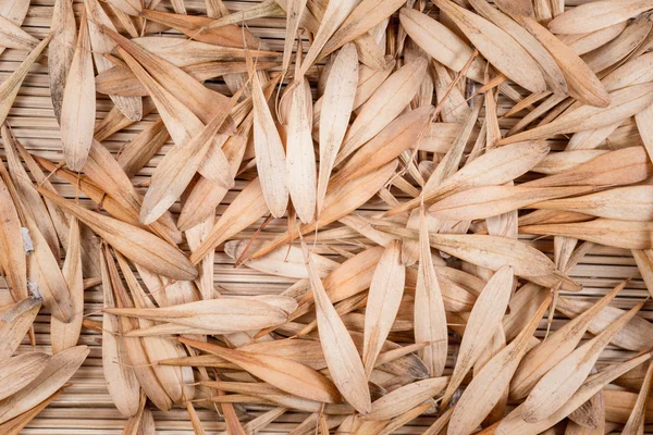 Background of leaves — Stock Photo, Image