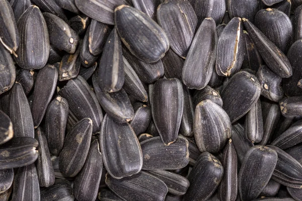 Fondo alimentario a partir de semillas negras de girasol — Foto de Stock