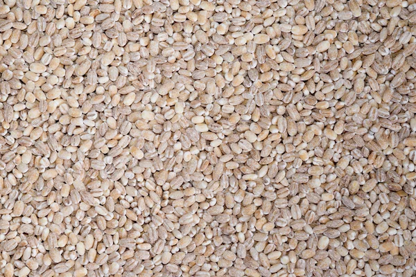 Food background of beige grain barley — Stock Photo, Image