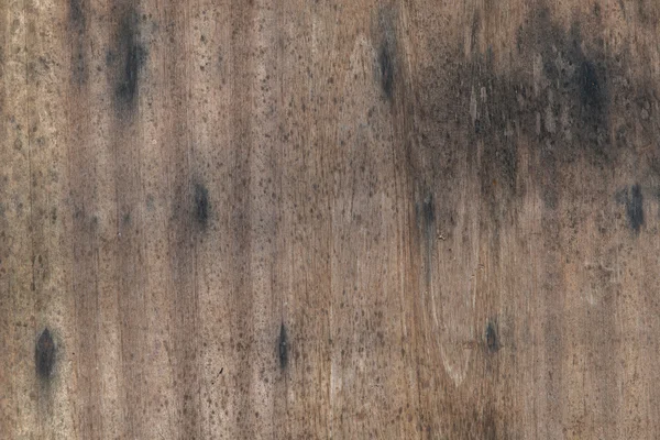 La struttura superficiale del legno — Foto Stock