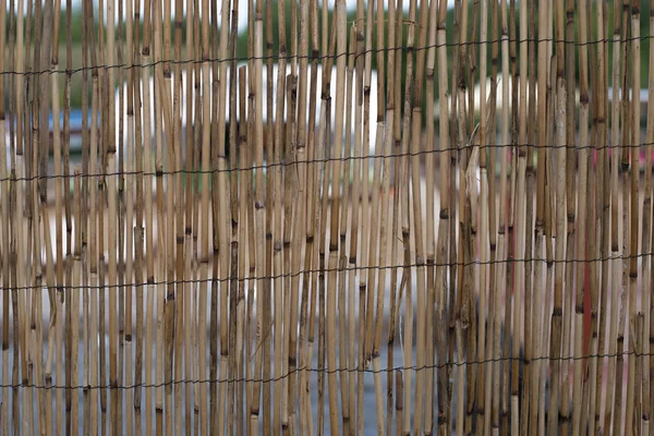 Wall made of bamboo — Stock Photo, Image