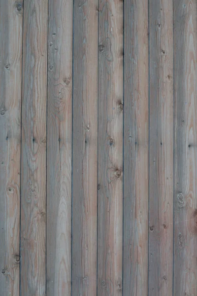 La texture de surface du bois — Photo