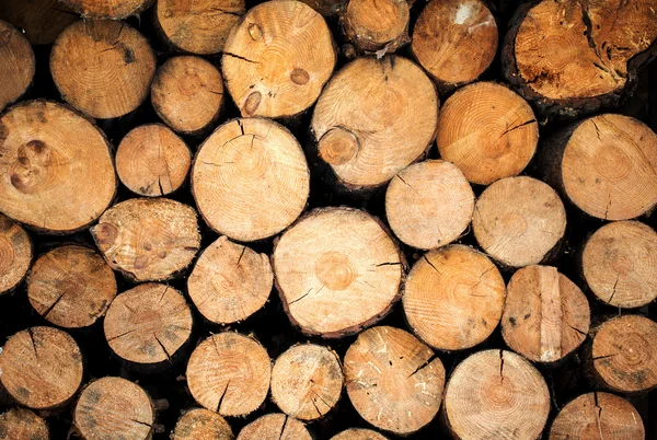 Kupa drewna gotowa na zimę Obraz Stockowy
