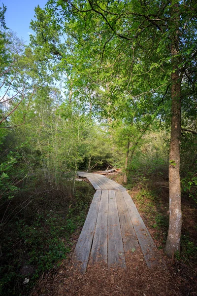 Houston Arboretum Nature Center landschap weergave bos — Stockfoto