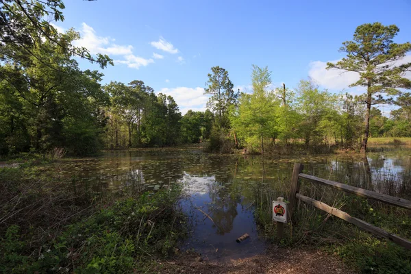 Houston arboretum natur zentrum landschaft blick — Stockfoto