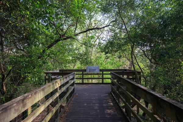 Vogel gebied van Houston Arboretum Nature Center — Stockfoto