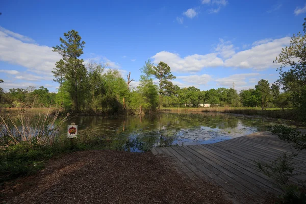 Houston Botanik Bahçesi doğa merkezi manzaralı — Stok fotoğraf