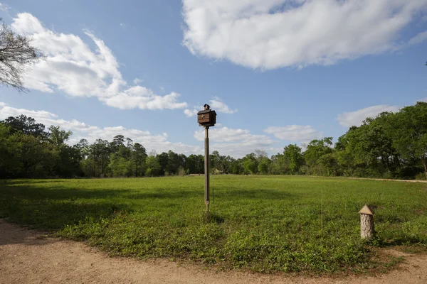 Houston Botanik Bahçesi doğa merkezi manzaralı — Stok fotoğraf