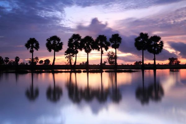 Kleurrijke sunrise landschap met silhouetten van palmbomen op Cha — Stockfoto