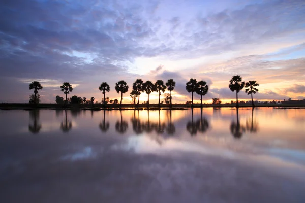 Colorido paisaje del amanecer con siluetas de palmeras en Cha — Foto de Stock