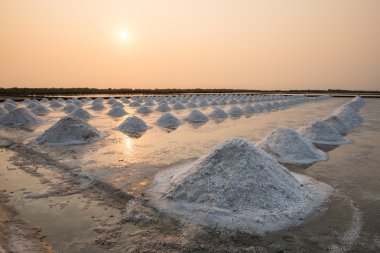 tuz salin güneş doğarken kazık.