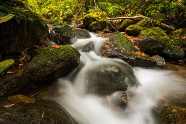 biraz kayaların üzerinden akan su düşüyor