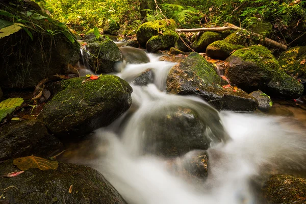 biraz kayaların üzerinden akan su düşüyor
