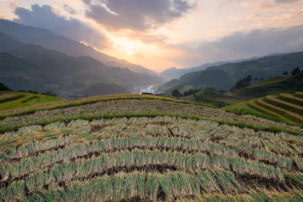 Beautiful Landscape Rice Fields Terraced Cang Chai Yenbai Vietnam — Stock Photo, Image