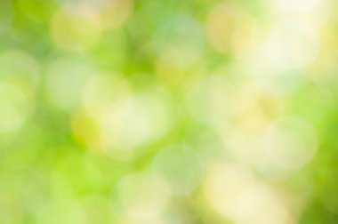 ufuk yeşil arka plan