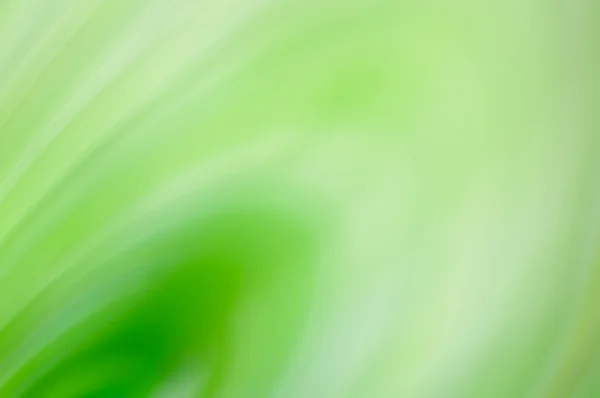 Groene zacht licht abstracte achtergrond — Stockfoto