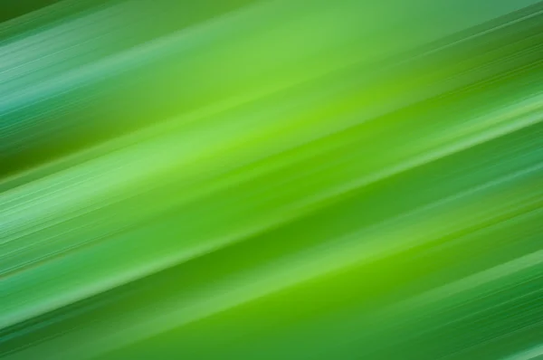 Green soft light abstract background — Stock Photo, Image