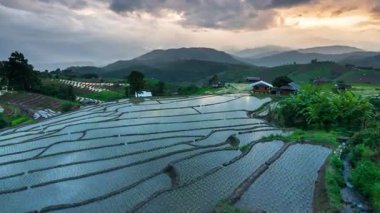 Yağmur mevsiminde güzel yeşil pirinç tarlaları veya Ban Pa Bong Piang 'ın çeltik tarlaları, Chiangmai, Tayland, çekim zamanı