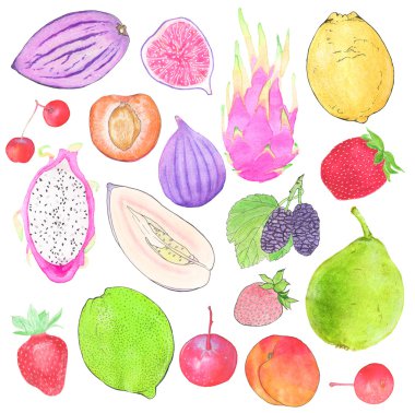 Fruits and berries. Hand drawn set of different food - pepino pear, strawberry, mulberry, lemon, fig. Real watercolor drawing