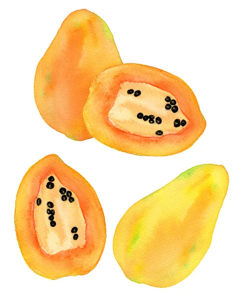 Papaya oder Papaw Set. handgezeichnete Früchte - Papayas auf weißem Hintergrund. Echte Aquarellzeichnung. — Stockfoto