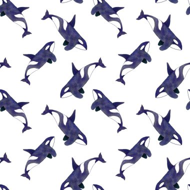 Orca ya da katil balina. Dikişsiz suluboya deseni