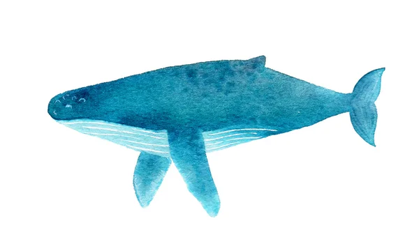 Humpback whale. Watercolor illustration — Stock Photo, Image