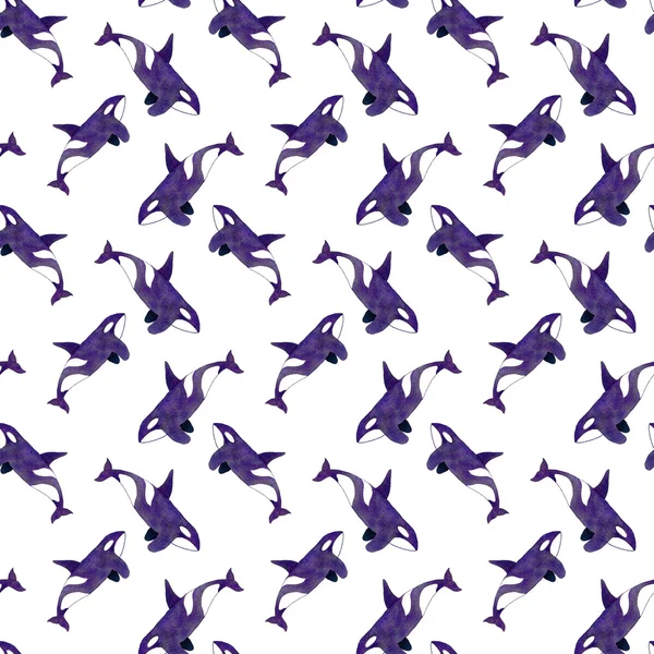 Orca or killer whale. Seamless watercolor pattern — Stock Photo, Image