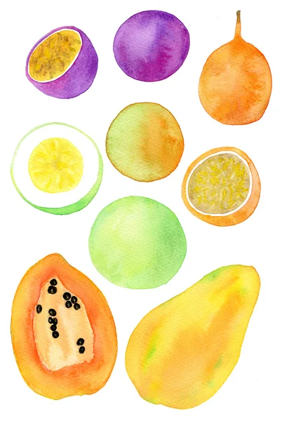 Frutas exóticas. Desenho aquarela real — Fotografia de Stock