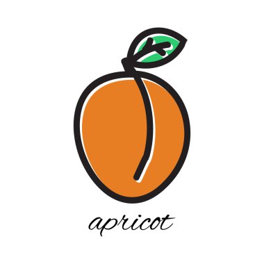 Elle çizilmiş kayısı doodle tarzı. Vektör çizim.