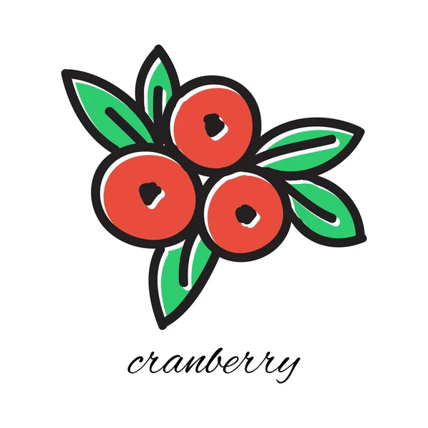 Tangan digambar cranberry dengan gaya corat-coret. Ilustrasi vektor . - Stok Vektor