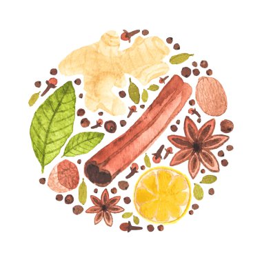 Vektör suluboya daire tasarımı baharatlar mulled şarap için yapılmış. Suluboya. Noel veya menü dekor.