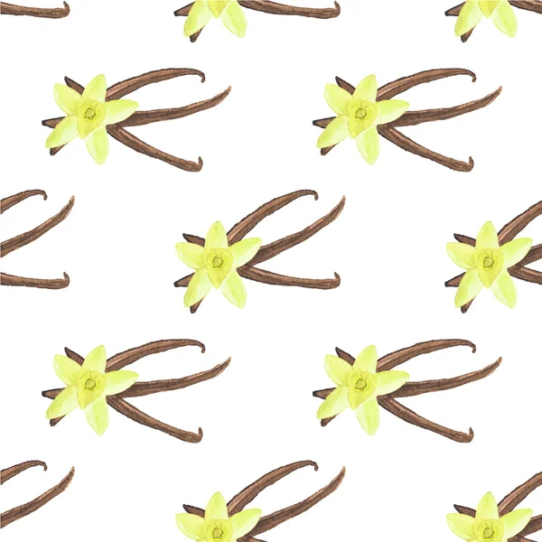 Seamless watercolor pattern with vanilla flowers and sticks on the white background, aquarelle.  Vector illustration. Hand-drawn background. Original background with spice. — Stock Vector
