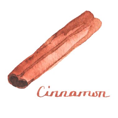 Suluboya beyaz zemin üzerine tarçın aquarelle. Vektör çizim. Çizilmiş baharat mulled şarap veya pişirme için.