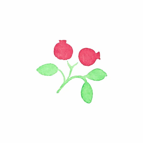 Aquarel cranberry op de witte achtergrond, aquarelle. Vectorillustratie. — Stockvector
