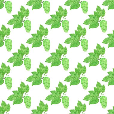 Watercolor seamless pattern with hops on the white background, aquarelle. Vector illustration.