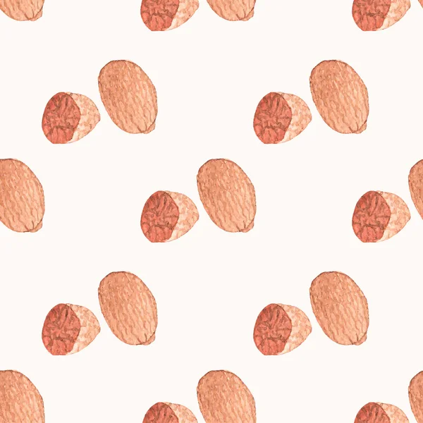 Seamless watercolor pattern with nutmeg on the white background, aquarelle.  Vector illustration. Hand-drawn background. — Stock Vector