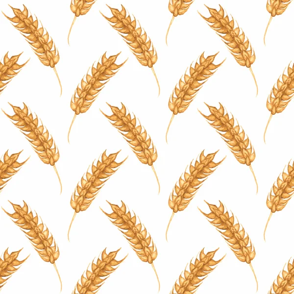 Бесшовный акварельный узор с колосом пшеницы на белом фоне, акварель. Векторная иллюстрация . — стоковый вектор