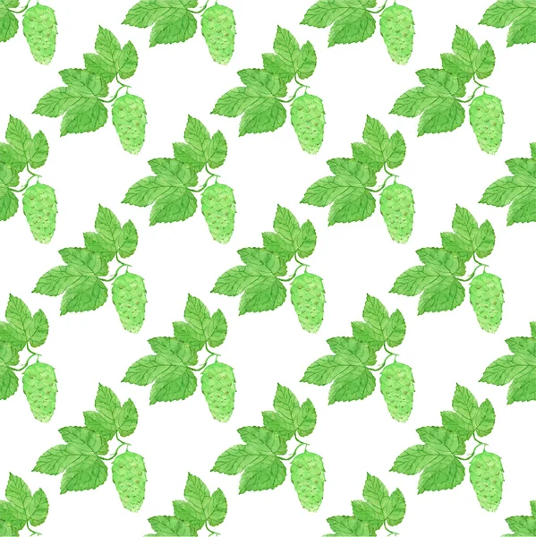 Watercolor seamless pattern with hops on the white background, aquarelle. Vector illustration. — Stock vektor