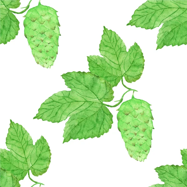 Watercolor seamless pattern with hops on the white background, aquarelle. Vector illustration. — Stockový vektor