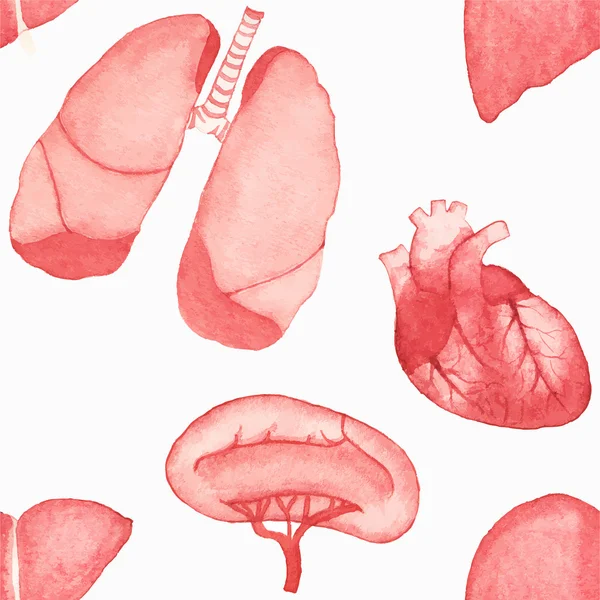 Watercolor seamless pattern with realistic human internal organs on the white background, aquarelle. Vector illustration. — 스톡 벡터