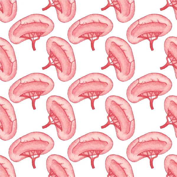 Watercolor seamless pattern with realistic human kidney on the white background, aquarelle.  Vector illustration. — 图库矢量图片