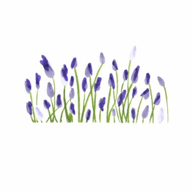 Lavanta sınır. Suluboya el çekilmiş çiçek sınır. Vektör çizim.