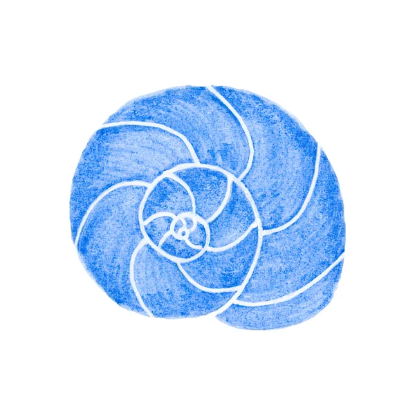 Weekdieren shell. Aquarel clam op de witte achtergrond, aquarelle. Vectorillustratie. — Stockvector