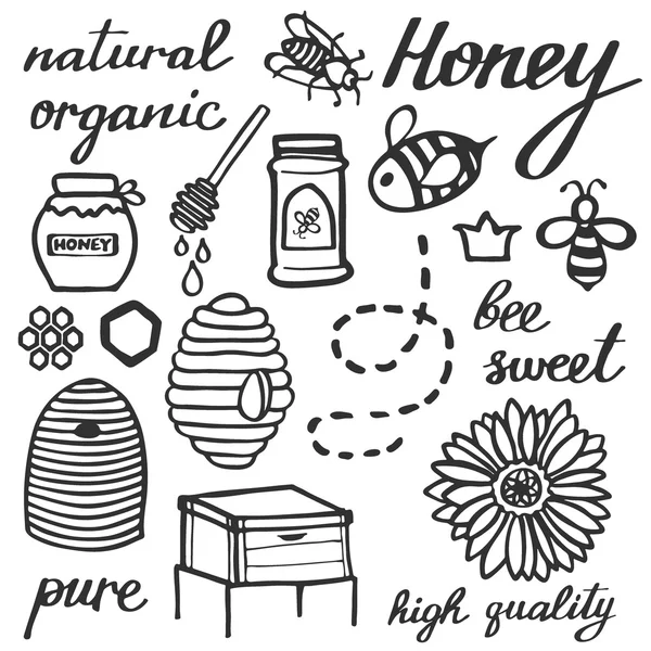 Honey set. Hand-drawn doodle drawing. — Stock Vector