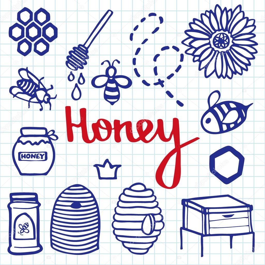 Honey set. Hand-drawn doodle drawing. 