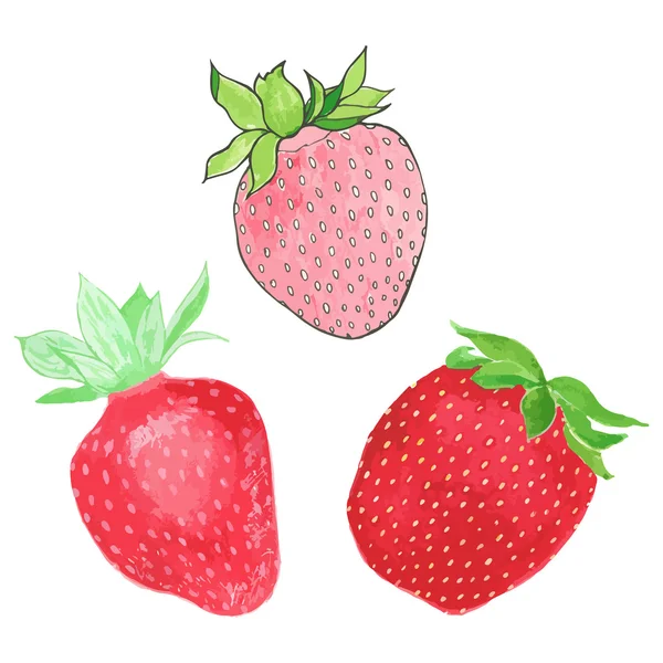 Strawberries. Hand-drawn berries. Real watercolor drawing. Vector illustration. — Stok Vektör