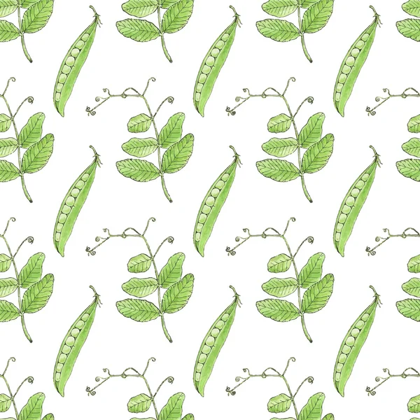 Green pea. Seamless pattern with vegetables. Hand-drawn background. Vector illustration. — Wektor stockowy